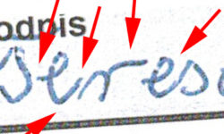 Badanie błędnej opinii grafologicznej - zdjęcie