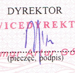 Badania grafologiczne a podpisy porównawcze - zdjęcie